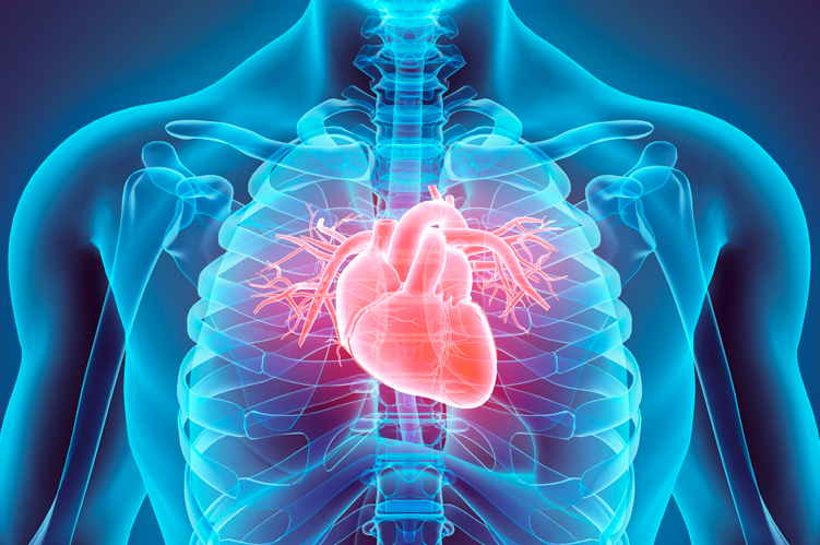 Ateneo de Cardiología - Puesta al día: Prevención Cardiovascular