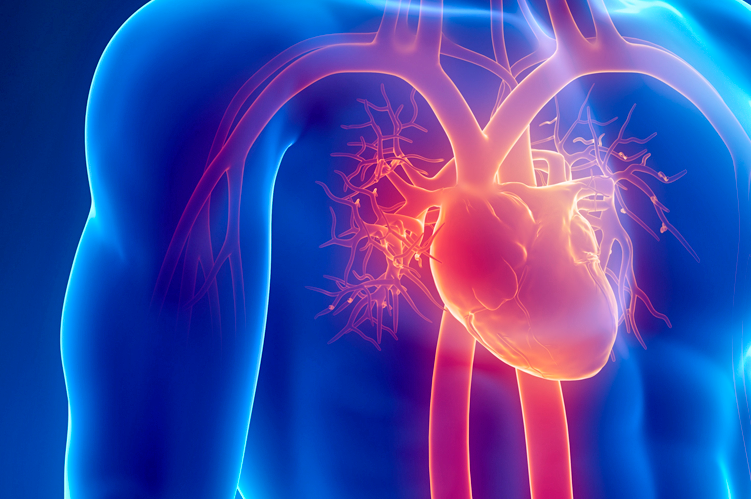 Ateneo de Cardiología - Puesta al día: Terapia de Resincronización Cardíaca (continuación)