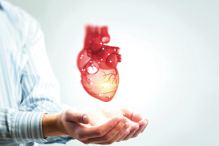 Puesta al día - Nuevas guías en intervención cardiovascular