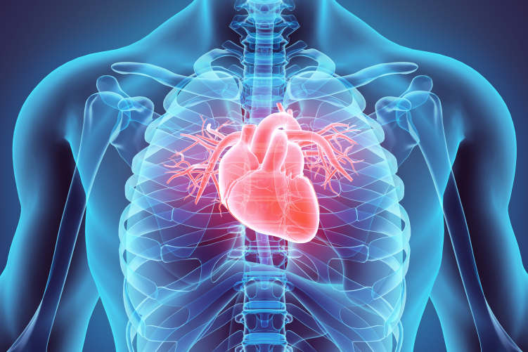 Ateneo Central Online | Guías ESC 2021 y ACC/AHA/HFSA 2022 sobre insuficiencia cardiaca