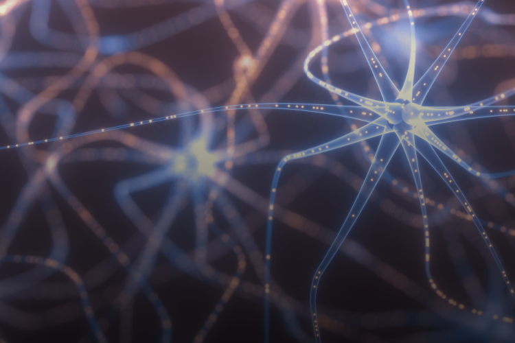 Actualización protocolo de ACV